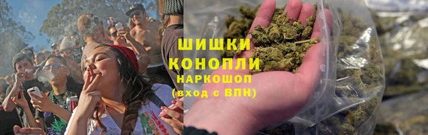 сатива Пестово