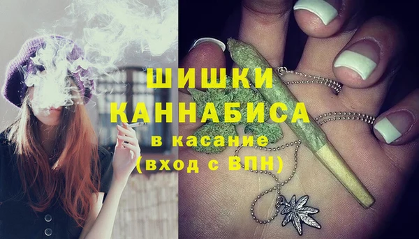 трава Абаза