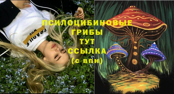шишки Абдулино
