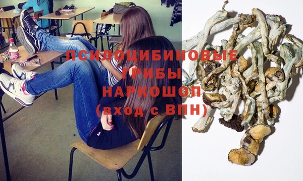 трава Абаза