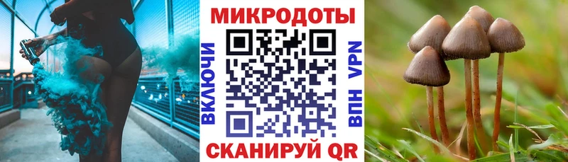 hydra зеркало  Тырныауз  Псилоцибиновые грибы Psilocybe 